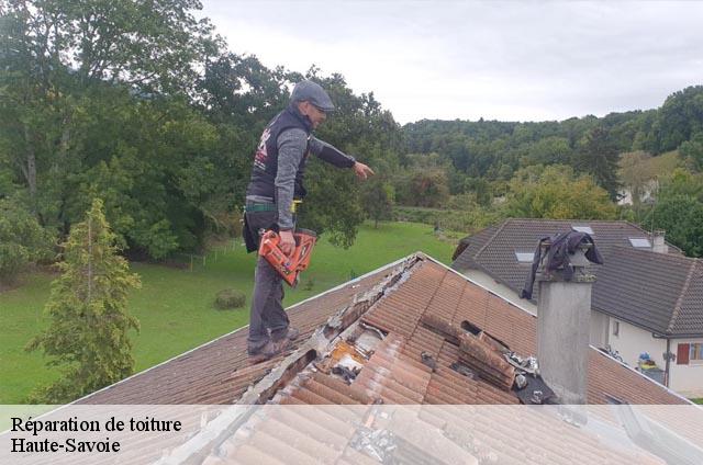 Réparation de toiture Haute-Savoie 