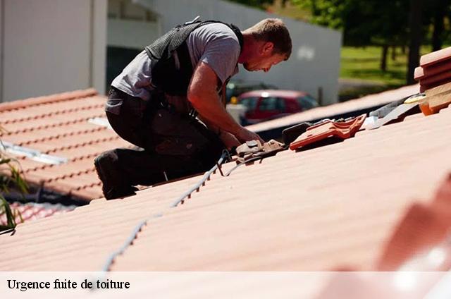 Urgence fuite de toiture Haute-Savoie 